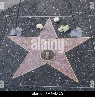 Der Star des Hollywood Walk of Fame verewigt die kanadische Radio- und Fernsehpersönlichkeit Art Linkletter, der am 26. Mai 2010 im Alter von 97 Jahren in seinem Haus in Bel-Air verstarb. Linkletter war Gastgeber der erfolgreichen US-Fernsehsendungen „House Party“ und „Kids Say the Darnest Things“. Los Angeles, Kalifornien. 05/26/10. Stockfoto