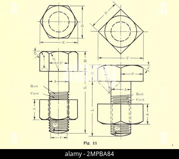 Machine Bolts and Screws aus dem Buch „ Mechanical Drafting “ von Henry Willard Miller, Illinois University. Abteilung für allgemeine technische Zeichnung Veröffentlichungsdatum 1917 Publisher Peoria, Illinois Die Handwerker Kunstpresse Stockfoto