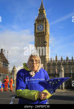 London, Großbritannien. 31. Januar 2023. Eine Demonstrantin in blau-gelber Kleidung mit Europawahlen-T-Shirt. Heute ist der 3. Jahrestag des offiziellen Austritts Großbritanniens aus der Europäischen Union. Demonstranten und Aktivisten haben sich außerhalb des Parlaments mit EU-Flaggen versammelt und sich wieder den Botschaften angeschlossen, um sich gegen das, was sie als drei Jahre Chaos und negative Auswirkungen des Brexit empfinden, und um die Kampagne für den Wiedereintritt des Landes in die EU zu versammeln. Kredit: Imageplotter/Alamy Live News Stockfoto