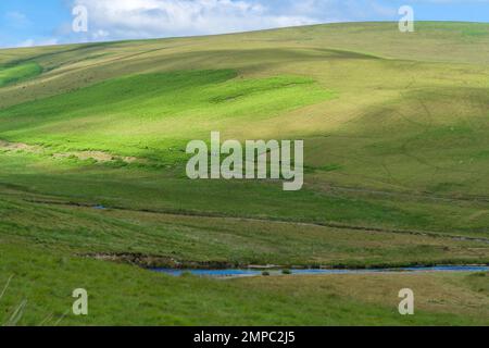 Ponyreiten im Elan Valley, Powys Wales, Großbritannien. Juli 2021 Stockfoto