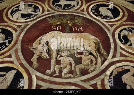 Die Legende von Aschius und Senius - die Sienese She Wolf mit den Symbolen von 12 konföderierten Städten Metropolitanische Kathedrale der Heiligen Maria der Himmelfahrt - Duomo di Siena, 1215. Und 1348., 13. Jahrhundert, Toskana, Italien, Italienisch, Gotik, Romanik, Klassik. ( Eine der frühesten Tafeln im eingelegten Mosaikboden der Kathedrale, die She-Wolf von Siena ) Stockfoto