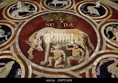 Die Legende von Aschius und Senius - die Sienese She Wolf mit den Symbolen von 12 konföderierten Städten Metropolitanische Kathedrale der Heiligen Maria der Himmelfahrt - Duomo di Siena, 1215. Und 1348., 13. Jahrhundert, Toskana, Italien, Italienisch, Gotik, Romanik, Klassik. ( Eine der frühesten Tafeln im eingelegten Mosaikboden der Kathedrale, die She-Wolf von Siena ) Stockfoto