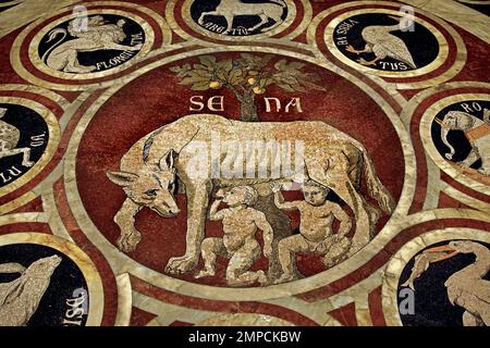 Die Legende von Aschius und Senius - die Sienese She Wolf mit den Symbolen von 12 konföderierten Städten Metropolitanische Kathedrale der Heiligen Maria der Himmelfahrt - Duomo di Siena, 1215. Und 1348., 13. Jahrhundert, Toskana, Italien, Italienisch, Gotik, Romanik, Klassik. ( Eine der frühesten Tafeln im eingelegten Mosaikboden der Kathedrale, die She-Wolf von Siena ) Stockfoto