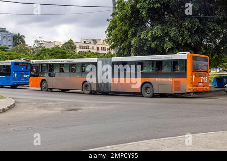 Gelenkbus an Haltestelle, Avenue of the Presidents, Vedado, Havanna, Kuba. Stockfoto