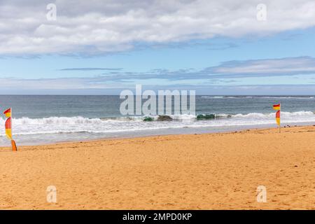 Schwimmen zwischen den Flaggen, sicherer Schwimmbereich errichtet Bu Surf Rettungsschwimmer, Newport Beach, Sydney, Australien, Bereich wird überwacht Stockfoto