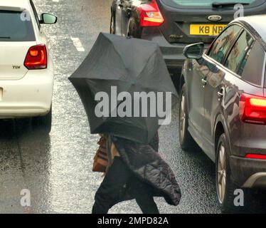 Glasgow, Schottland, Vereinigtes Königreich 31.t. Januar 2023. UK Weather: Kalt und nass auf der Straße sah man Regenschirme, die die Straßen dominierten, während sie in die Stadt strömten. Credit Gerard Ferry/Alamy Live News Stockfoto