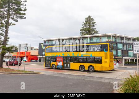 Australischer Doppeldeckerbus, B Line Northern Beaches Bus Sydney Fahrt entlang der Pittwater Road in Collaroy, Sydney, NSW, Australien Sommer 2023 Stockfoto