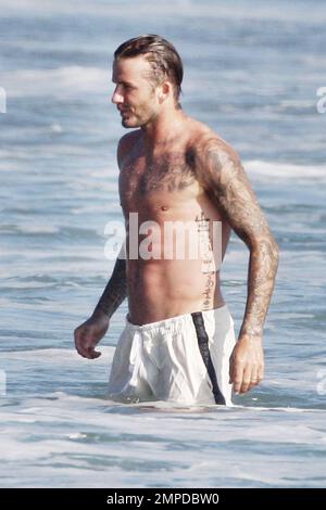 David Beckham, der am Samstagabend vom SIEG DER LA Galaxy erobert wurde, genießt einen Strandtag mit seinen Jungs und Gordon Ramsey. Die Gruppe spielte in der Brandung mit Boogie Boards und genoss es, in Beckhams gemietetem Strandhaus durch die Wellen zu springen. Malibu, Kalifornien. August 21. 2011. Stockfoto