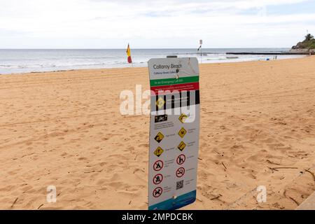 Collaroy Beach an Sydneys Ostküste und Strandschild errichtet vom rat mit Regeln und Vorschriften, Sydney Northern Beaches, NSW, Australien Stockfoto