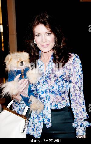 Lisa Vanderpump von „Real Housewives of Beverly Hills“ tritt mit ihrem Mann Ken Todd und ihrem kleinen Hund Giggy in Manhattan auf. Die Trios waren farblich aufeinander abgestimmt, jedes trug Blautöne. New York, New York, 04/26/11 Stockfoto