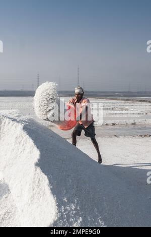 Männer, die in der Salzpfanne arbeiten Stockfoto