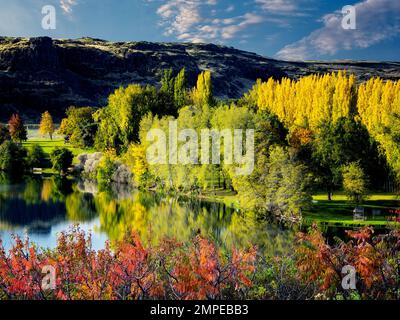 Herbstfarben am Horesthief Lake State Park, Washington. Columbia River Gorge National Scenic Area Stockfoto