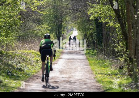 Radweg Route 7 und John Muir Way Fußweg auf stillgelegter Eisenbahnlinie nahe Croftamie, Stirling, Schottland, Großbritannien Stockfoto