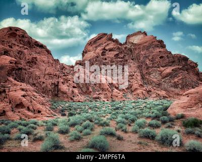 Beifuß und Rock Formation. Valley of Fire State Park, Nevada Stockfoto