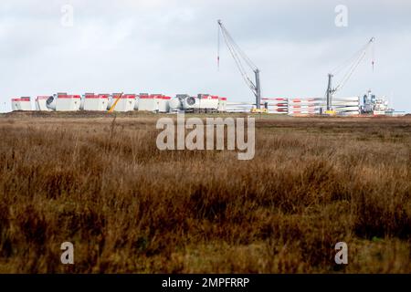 Cuxhaven, Deutschland. 31. Januar 2023. Montierte Gondeln und Rotorblätter für Offshore-Windturbinen stehen am Standort Siemens Gamesa. Hochleistungsturbinen für Offshore-Windturbinen werden am Standort in Cuxhaven hergestellt. Kredit: Hauke-Christian Dittrich/dpa/Alamy Live News Stockfoto