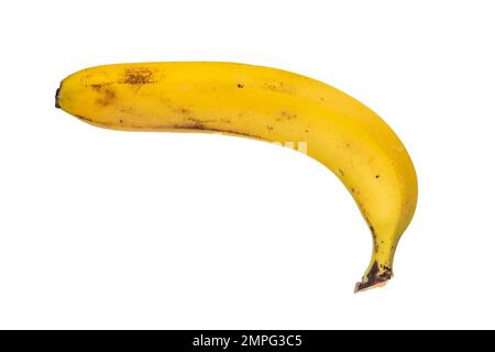 Banane - eine reife gelbe Bananenfrucht in der Schale, isoliert auf Weiß Stockfoto