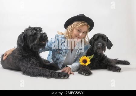 Studio-Porträt einer lächelnden Frau mittleren Alters in Jeans, die mit zwei großen Schnauzer-Hunden liegt. Horizontal. Stockfoto