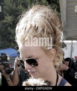 Britney Spears besucht Petco mit ihrem süßen Yorkshire Terrier Welpen London. Es wurde berichtet, dass ein Richter Britney gebeten hat, nicht mit ihren Kindern im Auto zu fahren, aber ich schätze, ein kleiner pelziger Freund zählt nicht. Los Angeles, Kalifornien. 11/17/07. Stockfoto