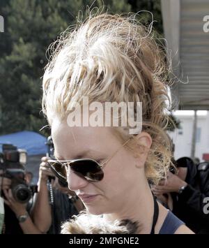 Britney Spears besucht Petco mit ihrem süßen Yorkshire Terrier Welpen London. Es wurde berichtet, dass ein Richter Britney gebeten hat, nicht mit ihren Kindern im Auto zu fahren, aber ich schätze, ein kleiner pelziger Freund zählt nicht. Los Angeles, Kalifornien. 11/17/07. Stockfoto