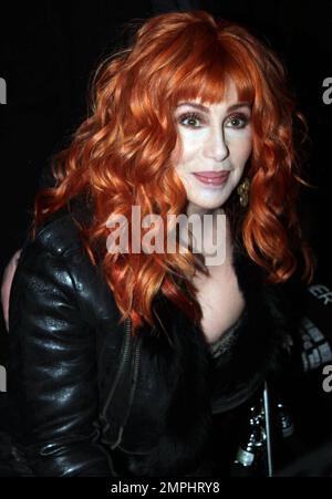 Cher auf der britischen Premiere von „Burlesque“ am Empire Leicester Square. London, Großbritannien. 12/13/10. Stockfoto