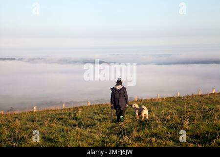 Ein Hundeläufer auf Win Green Hill in Wiltshire mit Schichten von Nebel darunter. Stockfoto