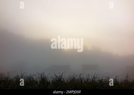 Die magische Natur Spaniens entlang des Camino de Santiago Stockfoto