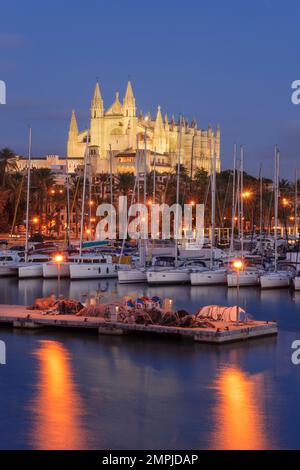Catedral de Mallorca desde el muelle de la Riba , siglo XIII, Monumento Histórico-artístico, Palma, mallorca, islas baleares, España, europa Stockfoto