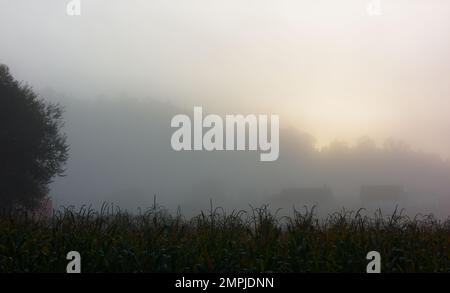 Die magische Natur Spaniens entlang des Camino de Santiago Stockfoto