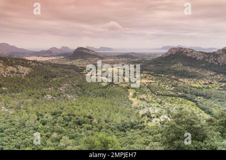 Valle de Colonya, pollencala, Sierra de Tramuntana, Mallorca, Balearen, Spanien. Stockfoto