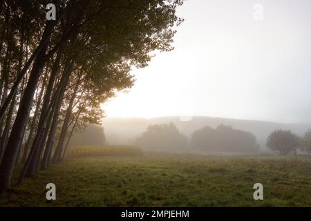 Die magische Natur Spaniens entlang des Camino de Santiago Stockfoto