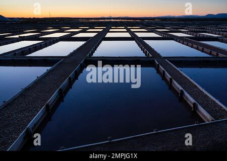 Sonnenuntergang, salinas de Levante, Salobrar de Campos, Ses Salines, Mallorca, balearen, spanien, europa Stockfoto