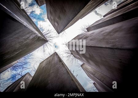 Exile Garden, Josef Hoffmann Garden, Berliner Jüdisches Museum, entworfen vom polnischen Architekten Daniel Libeskinds, Berlin, Deutschland, Europa Stockfoto