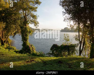 Die magische Natur Spaniens entlang des Camino de Santiago Stockfoto