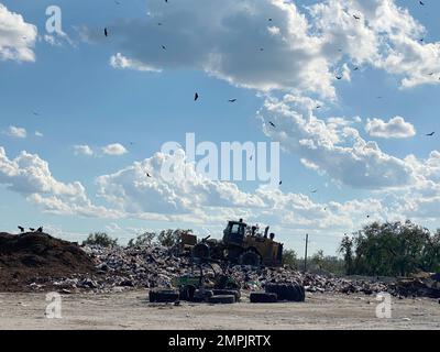 Arcadia, FL, USA--28. Oktober 2022--die Besatzungen arbeiten weiter an der Sortierung von Schutt an Sammelstellen. Jocelyn Augustino/FEMA Hurricane, Ian, Stockfoto