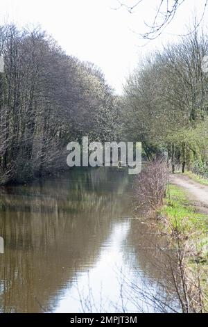 Ein Frühlingstag auf dem bewaldeten Pfad am Macclesfield Canal in der Nähe des höheren Poynton Cheshire England Stockfoto