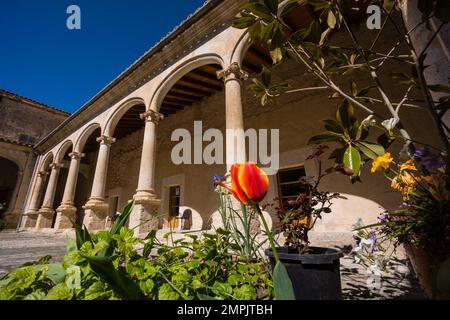 convento de los Mínimos, claustro del siglo XVII, Sineu, Mallorca, balearen, spanien, europa Stockfoto