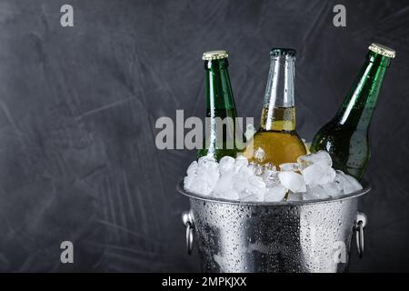 Bier im Metalleimer mit Eis auf grauem Hintergrund. Platz für Text Stockfoto