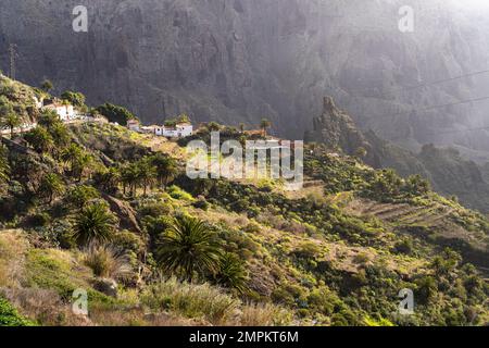 Bergdorf Masca und die Schlucht im Teno-Gebirge, Masca, Teneriffa, Kanarische Inseln, Spanien | Bergdorf Masca und die Masca-Schlucht an der T Stockfoto