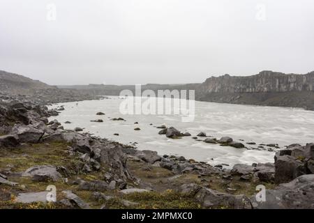 Eine Schar Möwen, die an einem felsigen Strand stehen Stockfoto