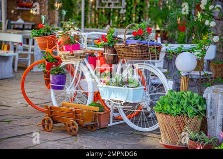 Blumengarten in Form eines Fahrrads. Stockfoto