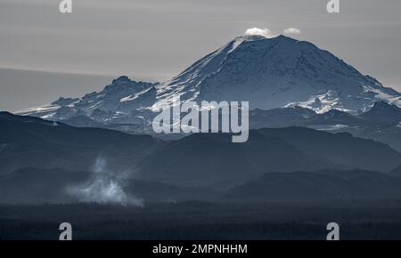 Ein Blick auf Mount Rainier an einem klaren, sonnigen Tag vom Tiger Mountain Stockfoto