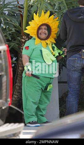 EXKLUSIV!! Chelsea Handlers Assistentin Chuy wurde in einem Sonnenblumenkostüm gesehen, für einen möglichen Frühjahrsbeitrag auf der Chelsea in letzter Zeit! Anzeigen.“ Los Angeles, Kalifornien. 20. März 2012 Stockfoto