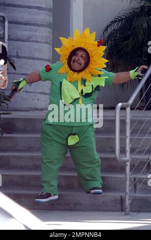 EXKLUSIV!! Chelsea Handlers Assistentin Chuy wurde in einem Sonnenblumenkostüm gesehen, für einen möglichen Frühjahrsbeitrag auf der Chelsea in letzter Zeit! Anzeigen.“ Los Angeles, Kalifornien. 20. März 2012 Stockfoto