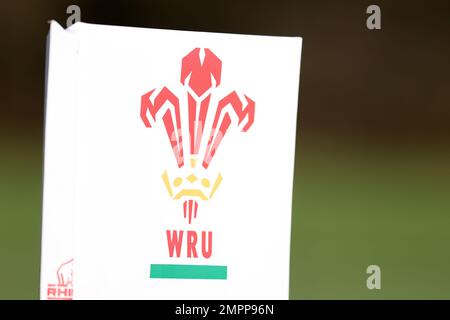 Cardiff, Großbritannien. 31. Januar 2023. Nahaufnahme des Welsh Rugby Union Logos auf einer Touchline. Rugby-Training in Wales, Tal of Glamorgan am Dienstag, den 31. Januar 2023. Das Team bereitet sich auf das Spiel der Guinness sechs Nationen gegen Irland in dieser Woche vor. Bild von Andrew Orchard/Andrew Orchard Sportfotografie/Alamy Live News Credit: Andrew Orchard Sportfotografie/Alamy Live News Stockfoto