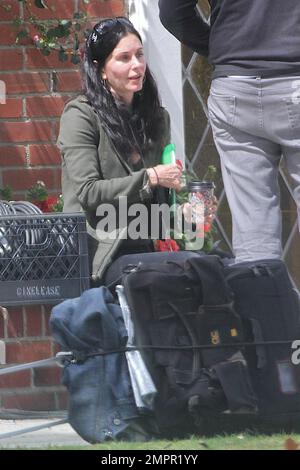 Courteney Cox scheint kein Make-up zu tragen, während sie an ihren Drehbuchnotizen für ihr Debüt für Lifetime, „Tall Hot Blonde“, arbeitet. Los Angeles, Kalifornien. 28. März 2012 Stockfoto