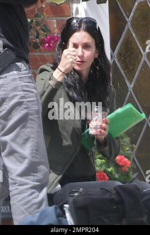 Courteney Cox scheint kein Make-up zu tragen, während sie an ihren Drehbuchnotizen für ihr Debüt für Lifetime, „Tall Hot Blonde“, arbeitet. Los Angeles, Kalifornien. 28. März 2012 Stockfoto