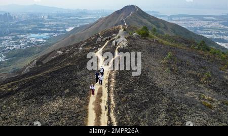 Ein Tag nach einem großen Bergfeuer auf dem Kai Kung Leng Trail im Lam Tsuen Country Park, Yuen Long, ist ein Tag, nachdem ein großer Bergbrand die 585 Meter hohe Bergkette getroffen hat. 26. JANUAR 23. SCMP/Dickson Lee Stockfoto