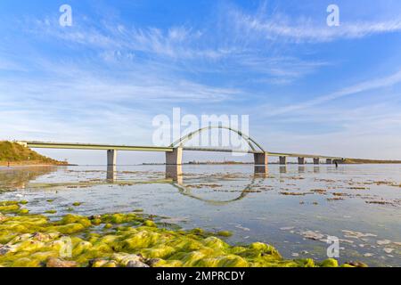 Fehmarn-Schallbrücke / Fehmarnsundbrücke verbindet die Ostseeinsel Fehmarn mit dem Festland in der Nähe von Großenbrode, Schleswig-Holstein Stockfoto