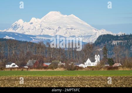 Schneebedeckter Vulkan Mount Baker über dem Ackerland des Skagit Valley im Winter Stockfoto