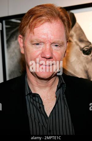 EXKLUSIV!! Der Schauspieler David Caruso nimmt an einem Cocktailempfang und einer Auktion für die South Florida S.P.C.A. in der Opera Gallery in Bal Harbour Teil. Miami, Florida 02/25/10. Stockfoto